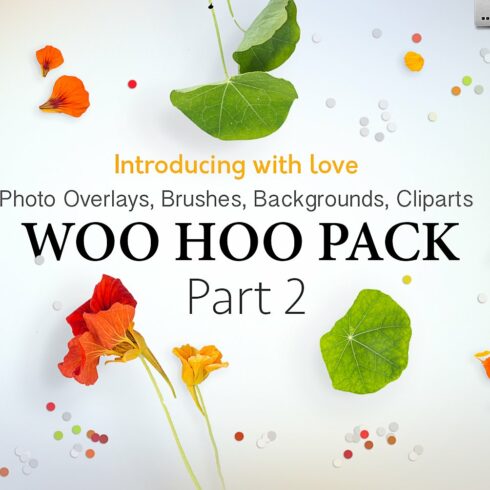 WOO HOO PACK Part 2cover image.