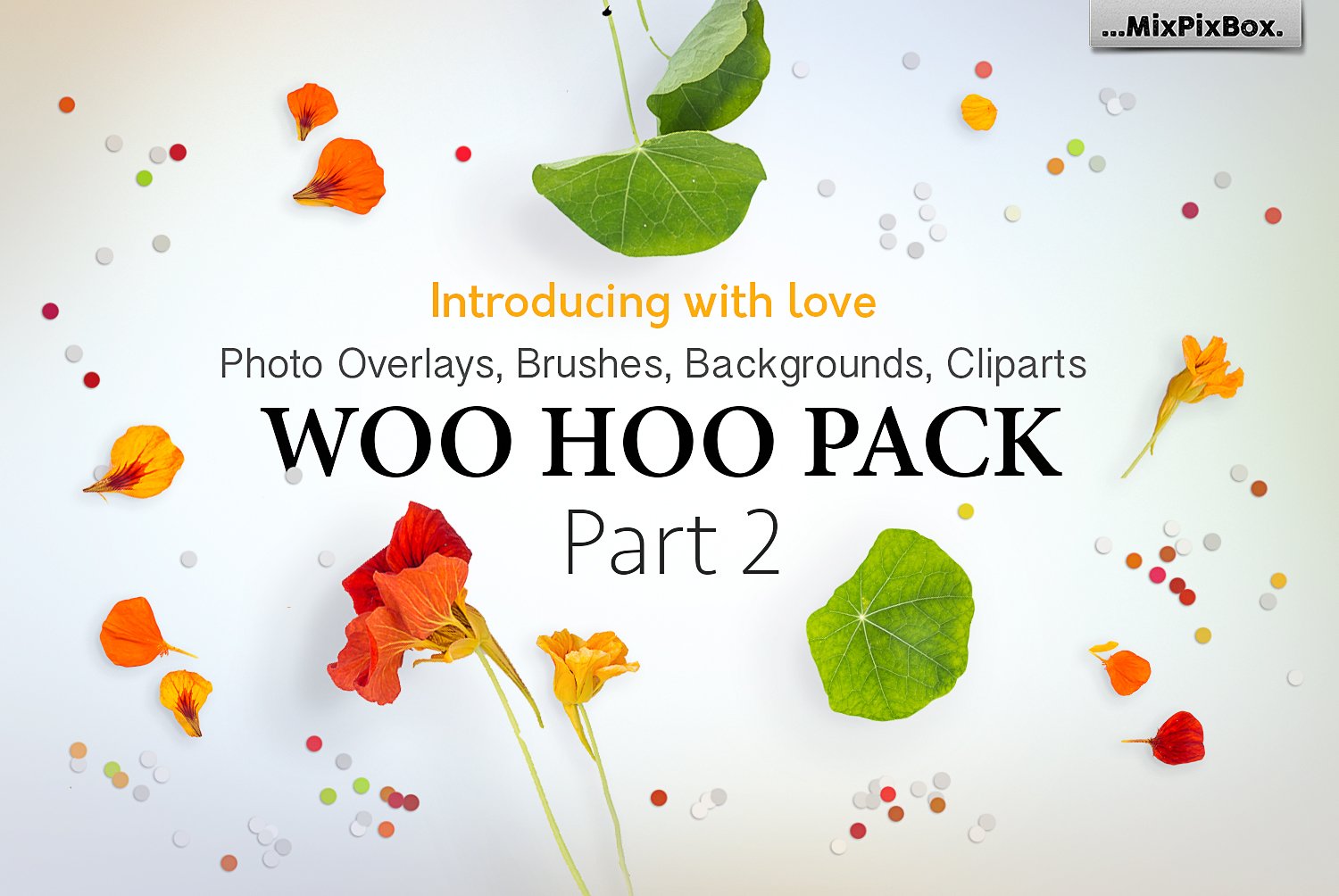 WOO HOO PACK Part 2cover image.