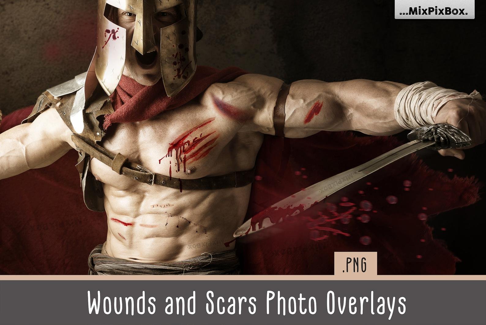 Wounds and Scars Overlayscover image.