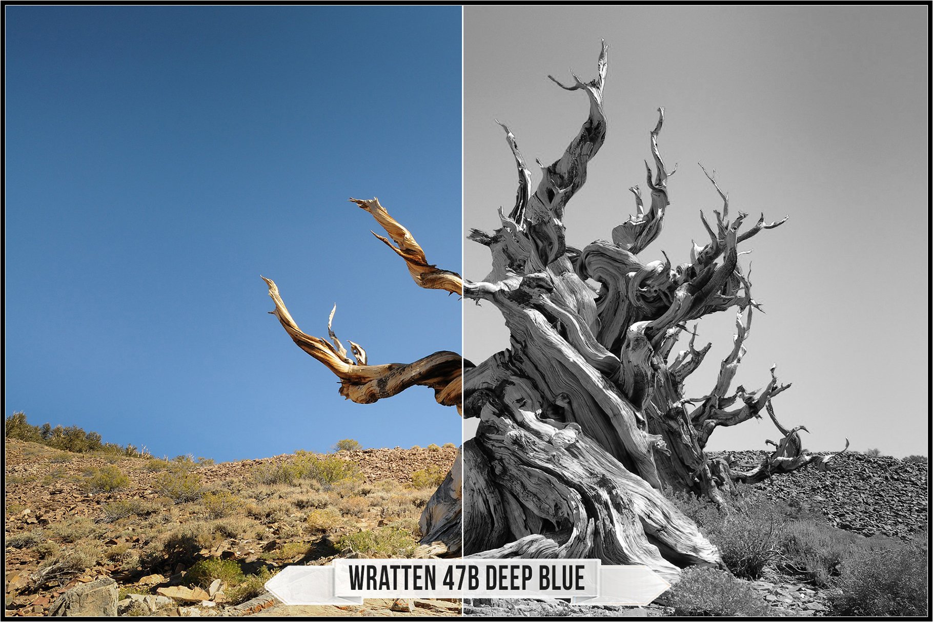 wratten 47b deep blue 208