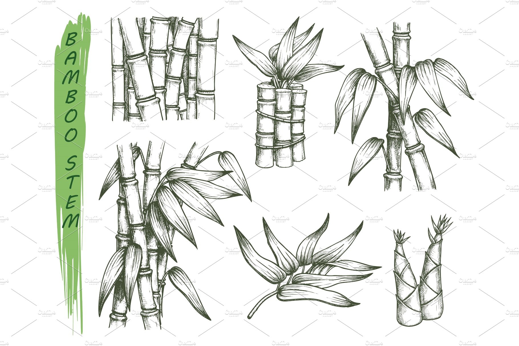 Brown bamboo stick with green leaves in sketch style isolated on
