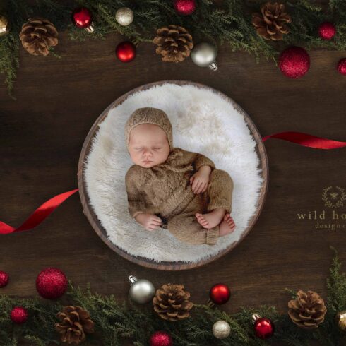 Christmas Baby Digital Backdropcover image.