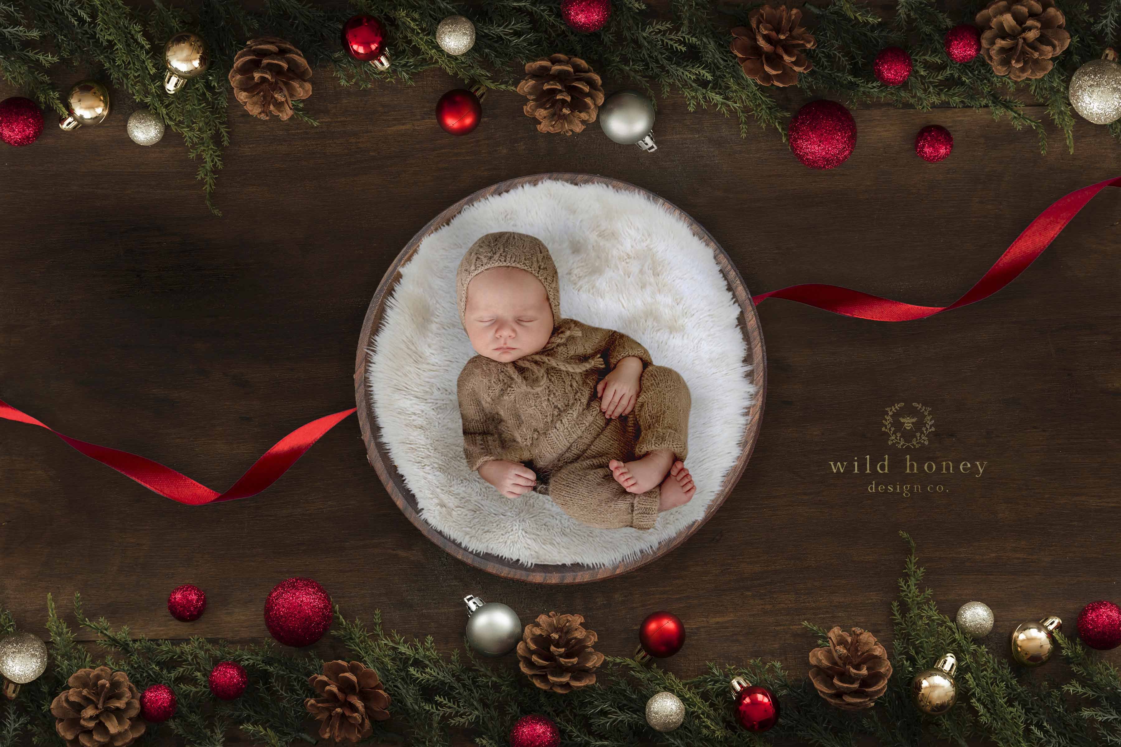 Christmas Baby Digital Backdropcover image.