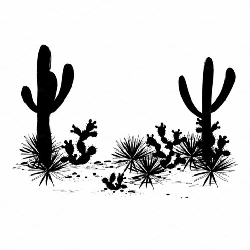 Black and white image of cactus plants.