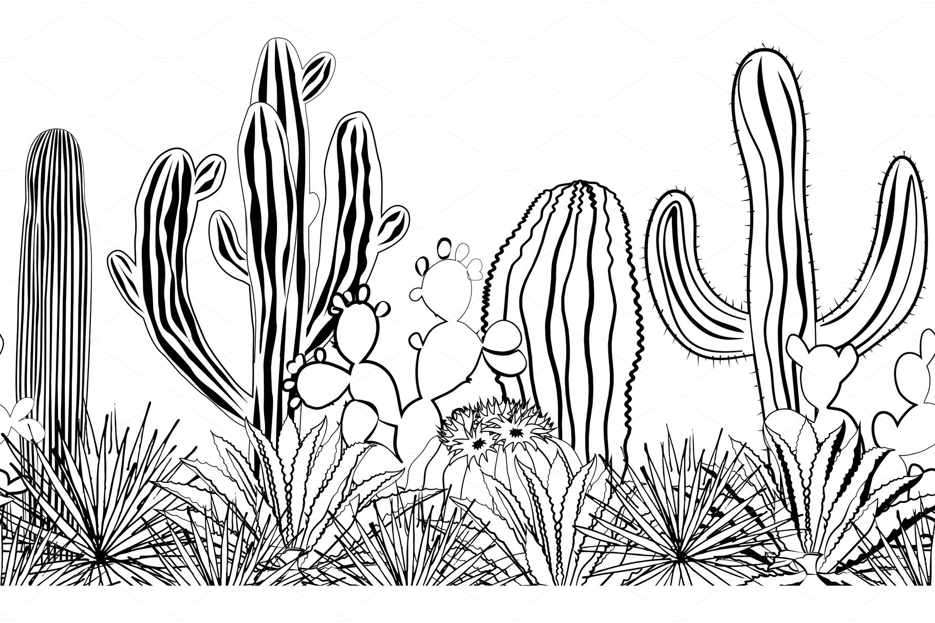 Line drawing of cactus plants.