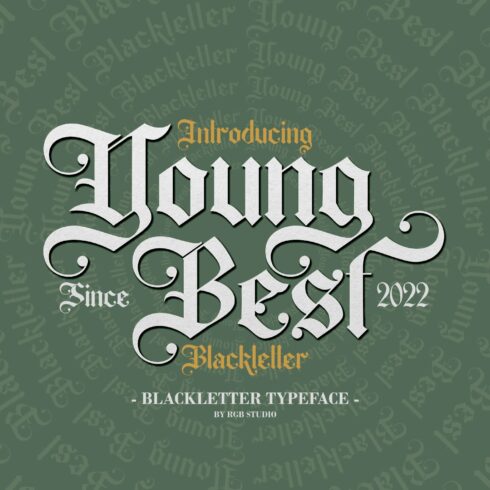 Young Best - Blackletter Font cover image.