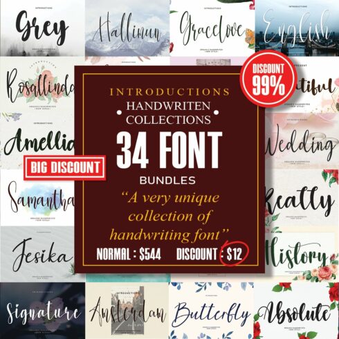 Bundles Script font Collections cover image.