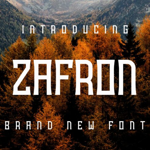Zafroncover image.