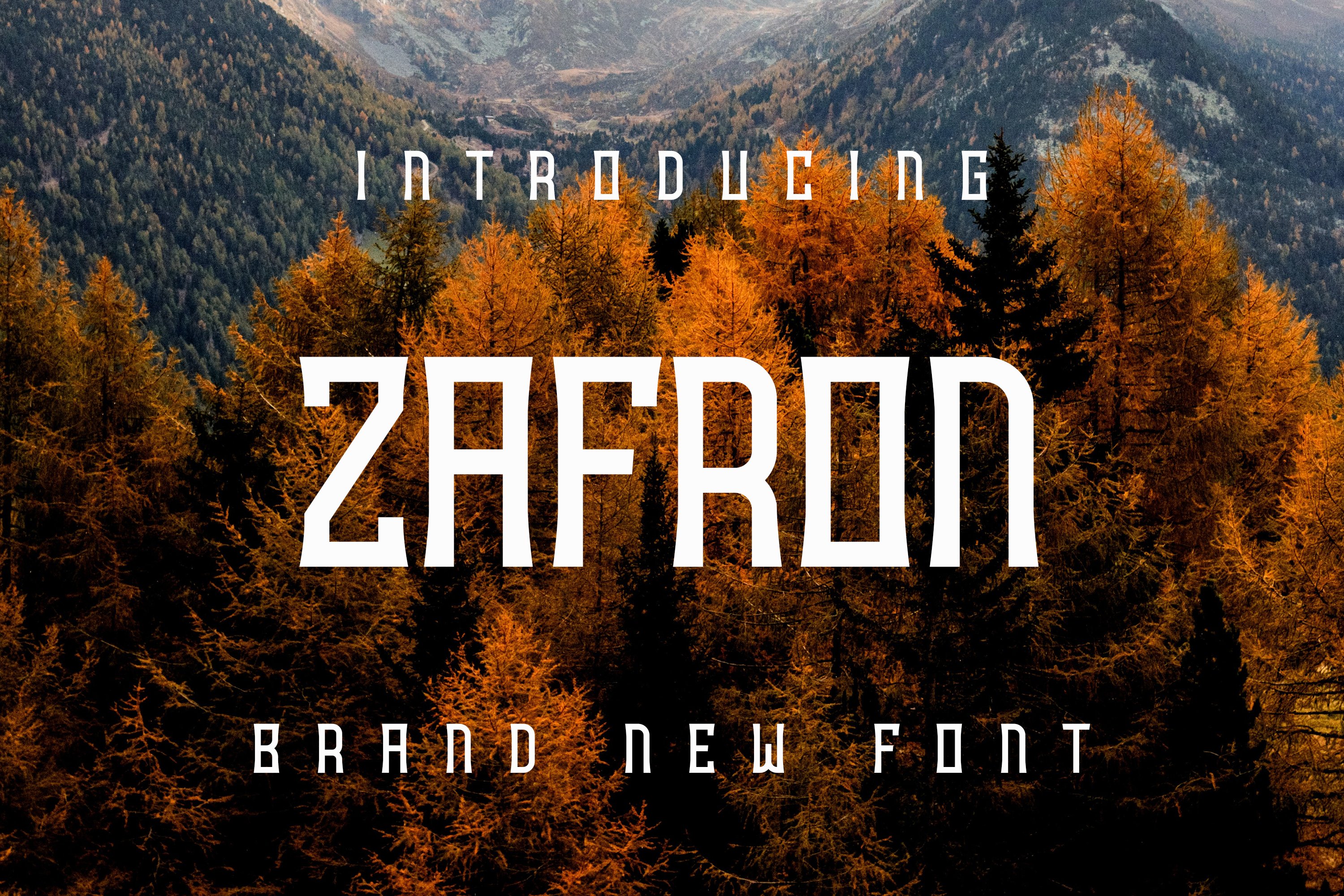 Zafroncover image.