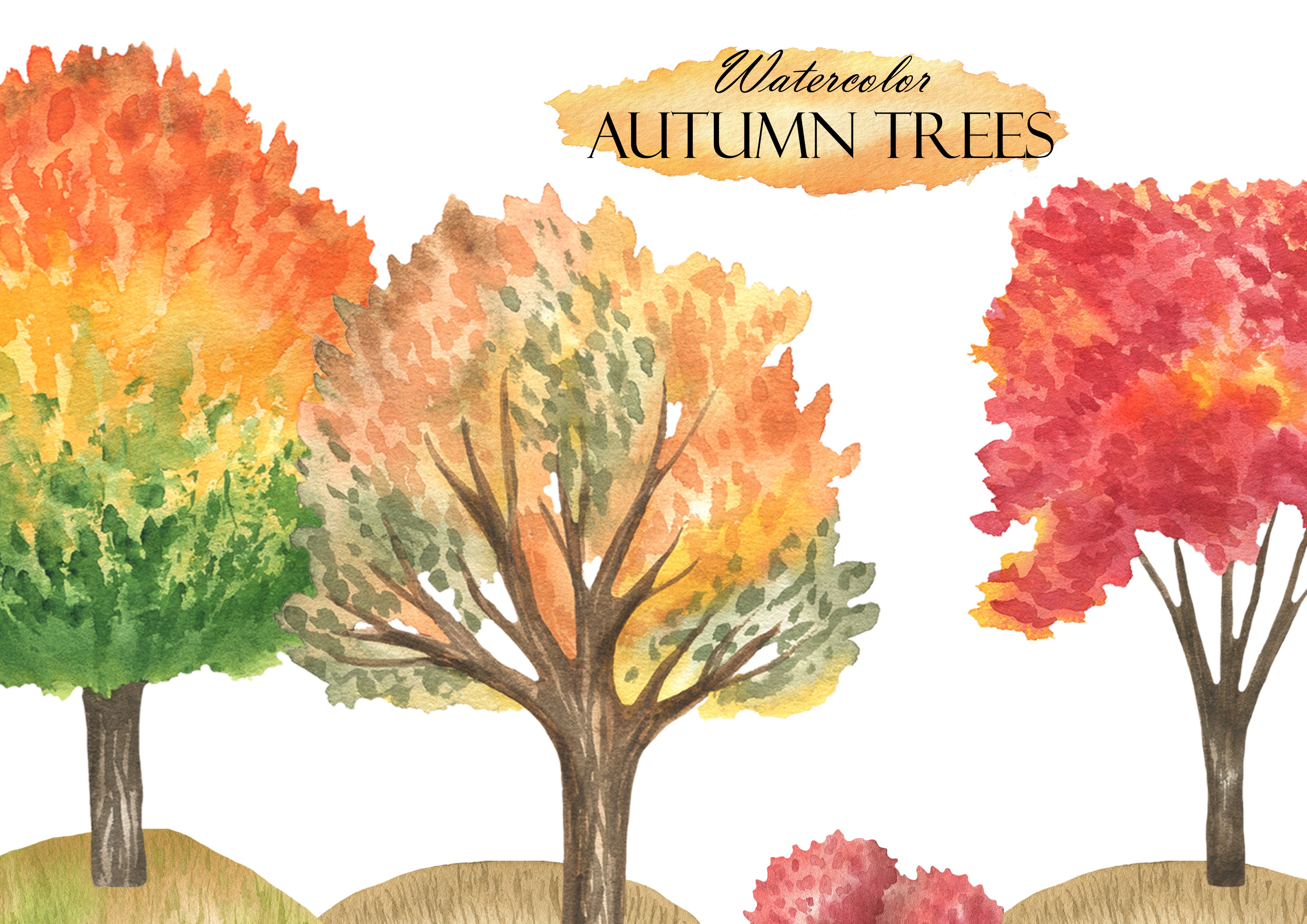 Watercolor painting of trees with autumn colors by Isobelle Ann Dods-Withers.