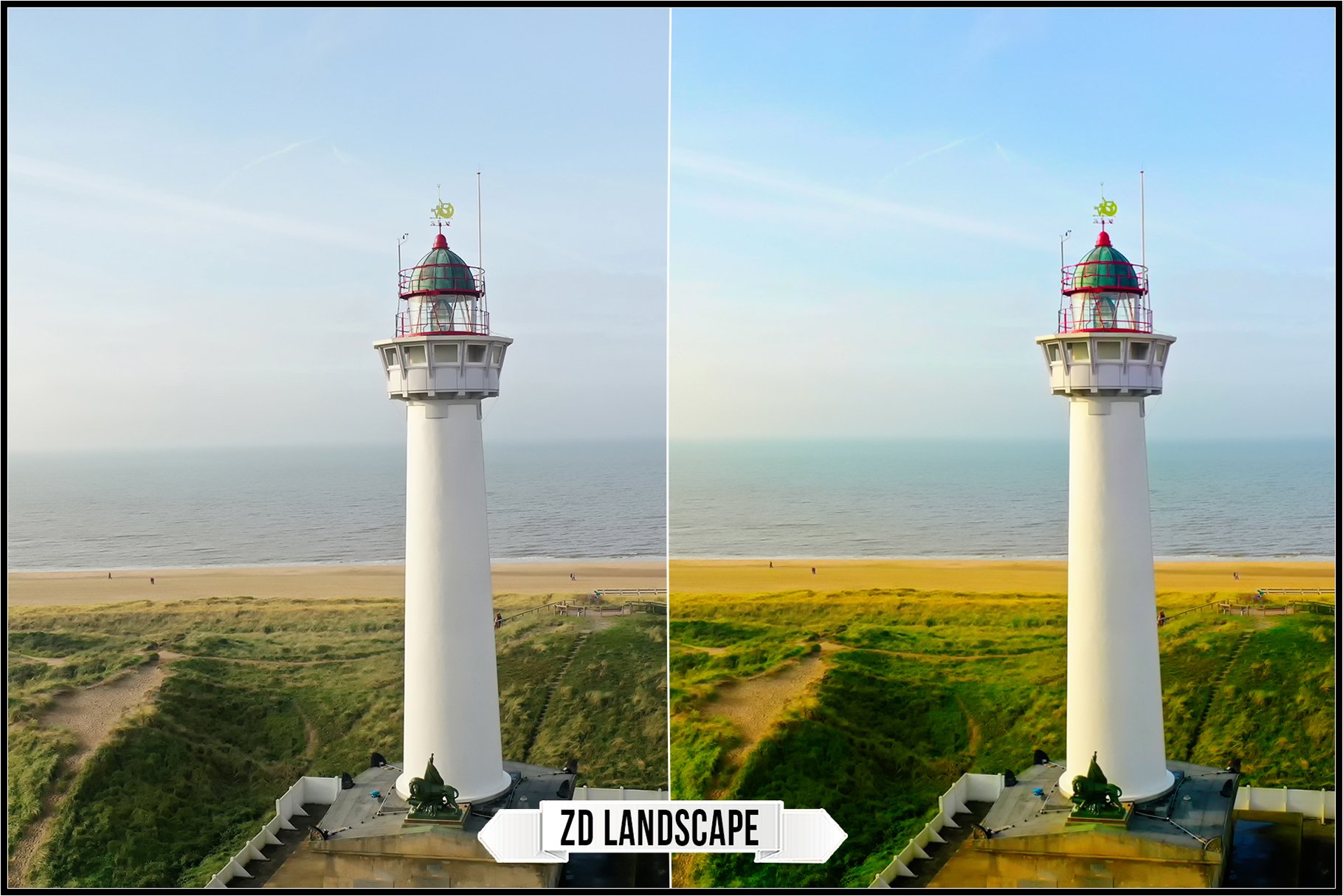 zd landscape 28