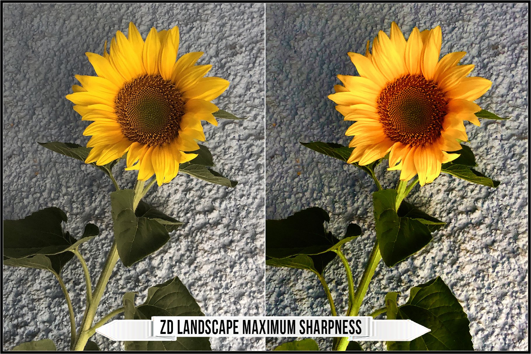 zd landscape maximum sharpness 347