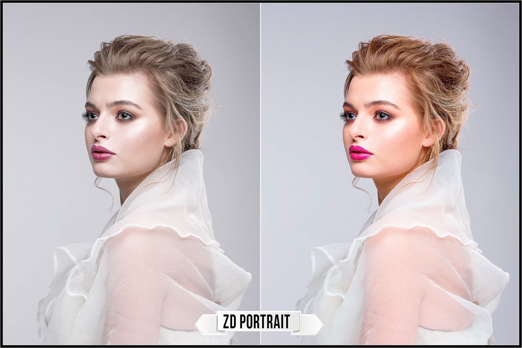 zd portrait 480