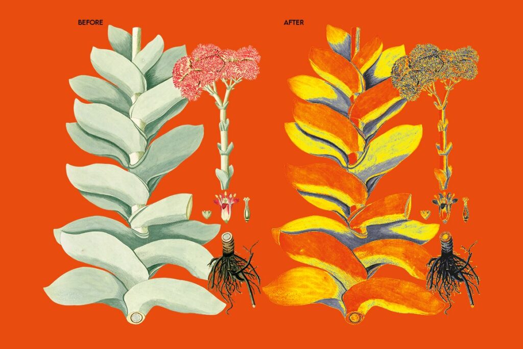 Vintage Feel Gradients – MasterBundles