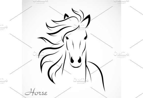 Vector of horse on white background. cover image.