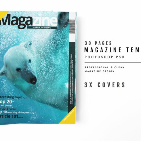 Magazine Template 39 cover image.