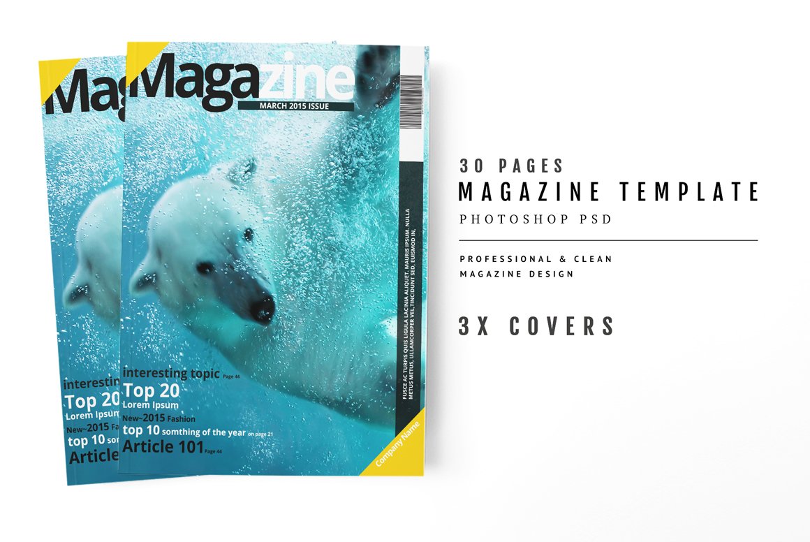 Magazine Template 39 cover image.