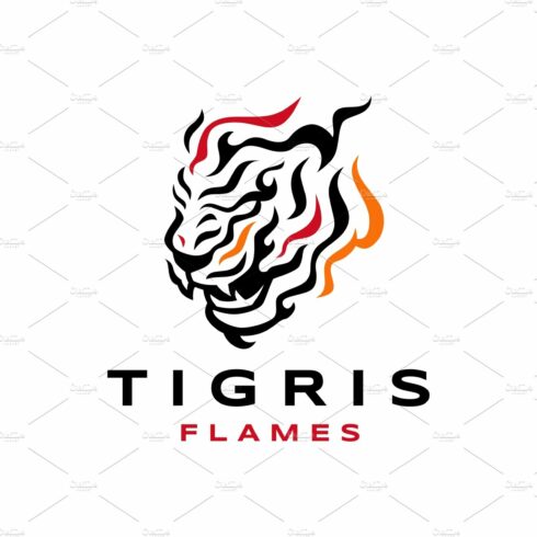 Tiger Fire Flame Tribal Logo cover image.