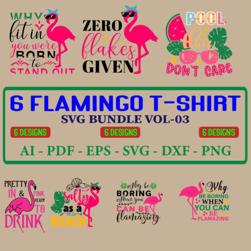 6 Flamingo T-shirt SVG Bundle Vol-03 cover image.