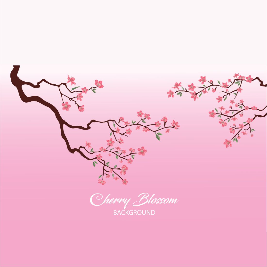 Cherry blossom Illustration preview image.