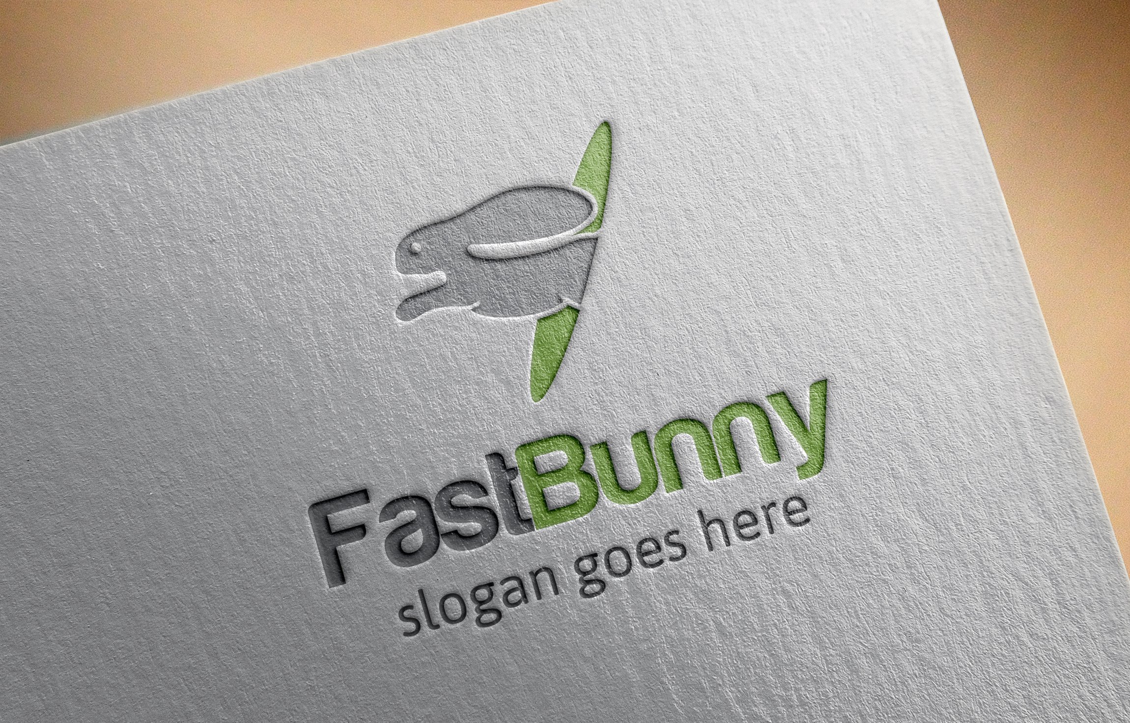 Fast Rabbit Logo cover image.