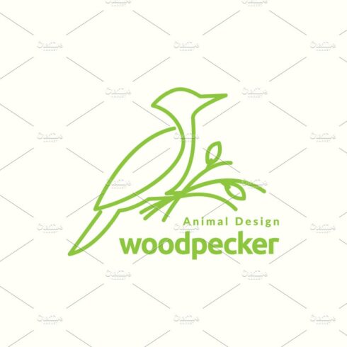continuous line bird woodpecker logo cover image.