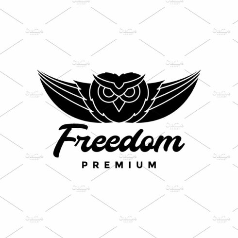 flying owl wings logo design cover image.