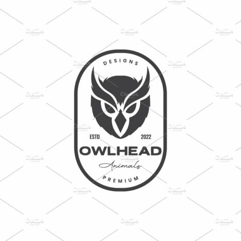 head owl vintage badge logo design cover image.