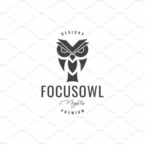 owl head focus hipster vintage logo cover image.