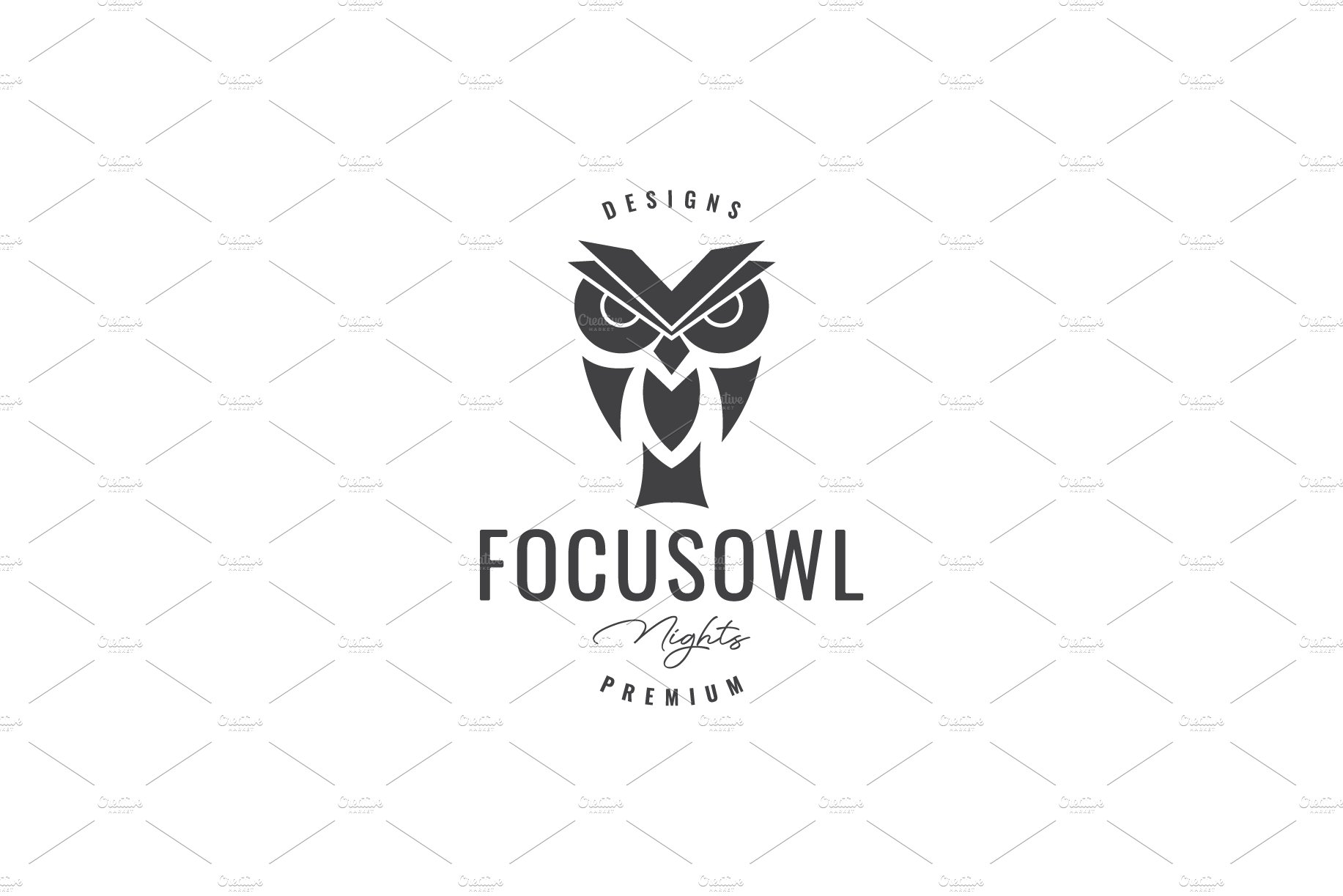 owl head focus hipster vintage logo cover image.