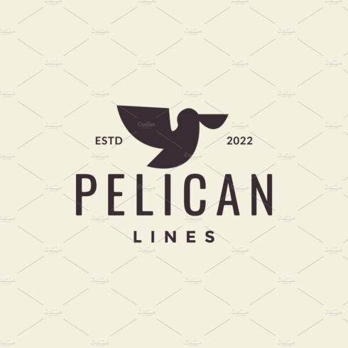 bird flying pelican hipster logo cover image.