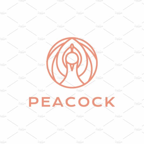 bird peacok geometric lines logo cover image.