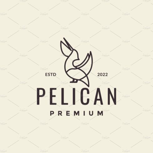 bird pelican geometric line logo cover image.