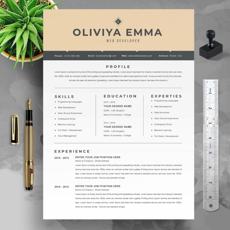 Developer Resume | CV Design 2021 – MasterBundles