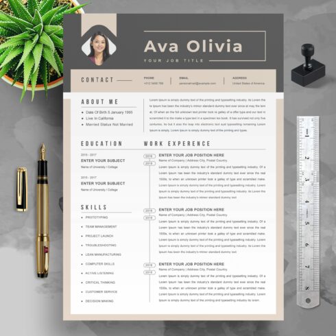 3 Page Resume Professional CV cover image.