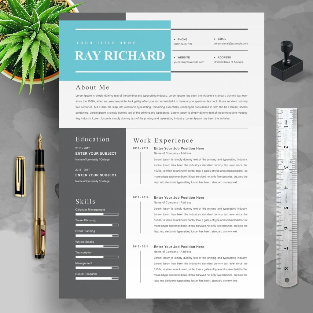 Professional Medical Biller Word Resume CV – MasterBundles