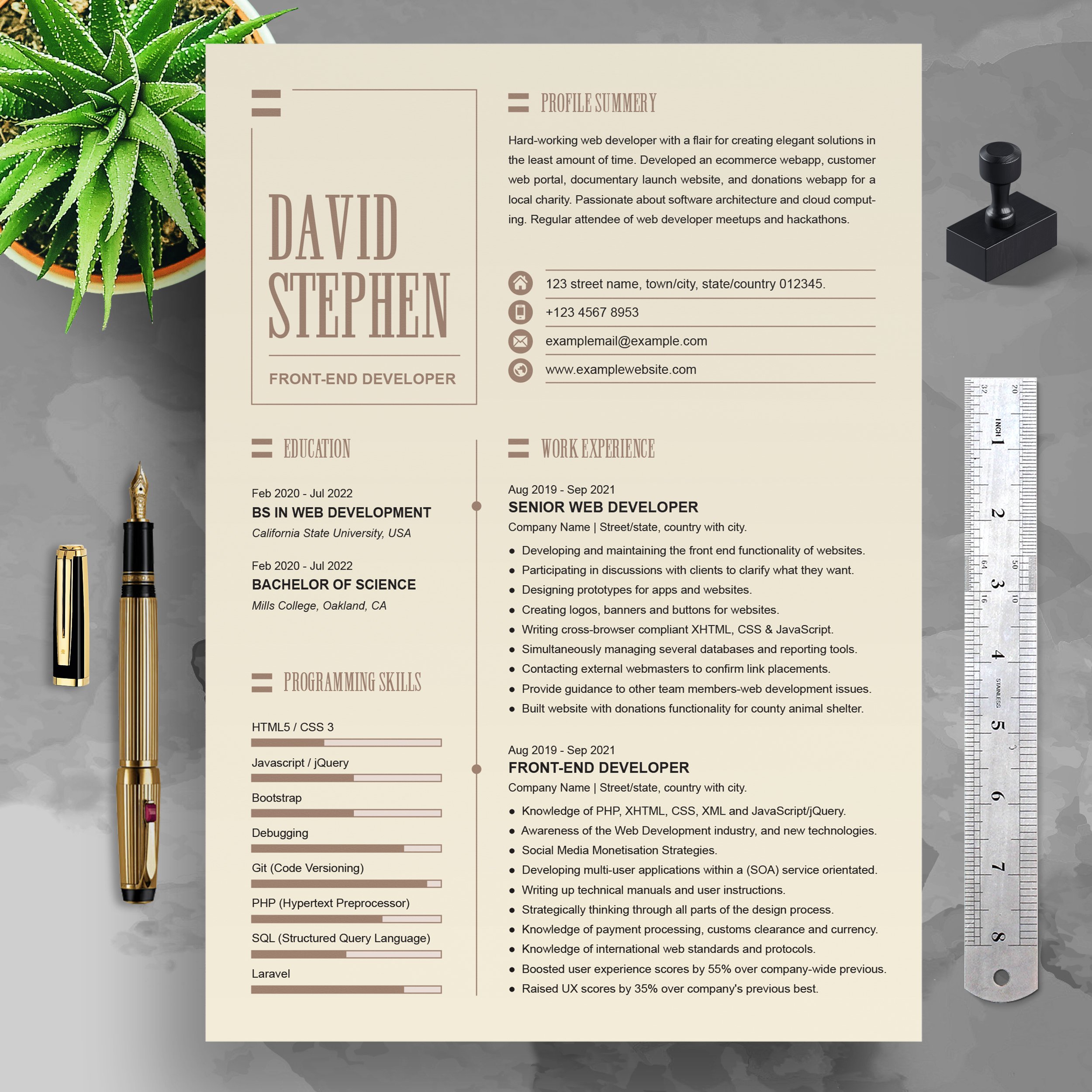Resume Template Front-End Developer preview image.