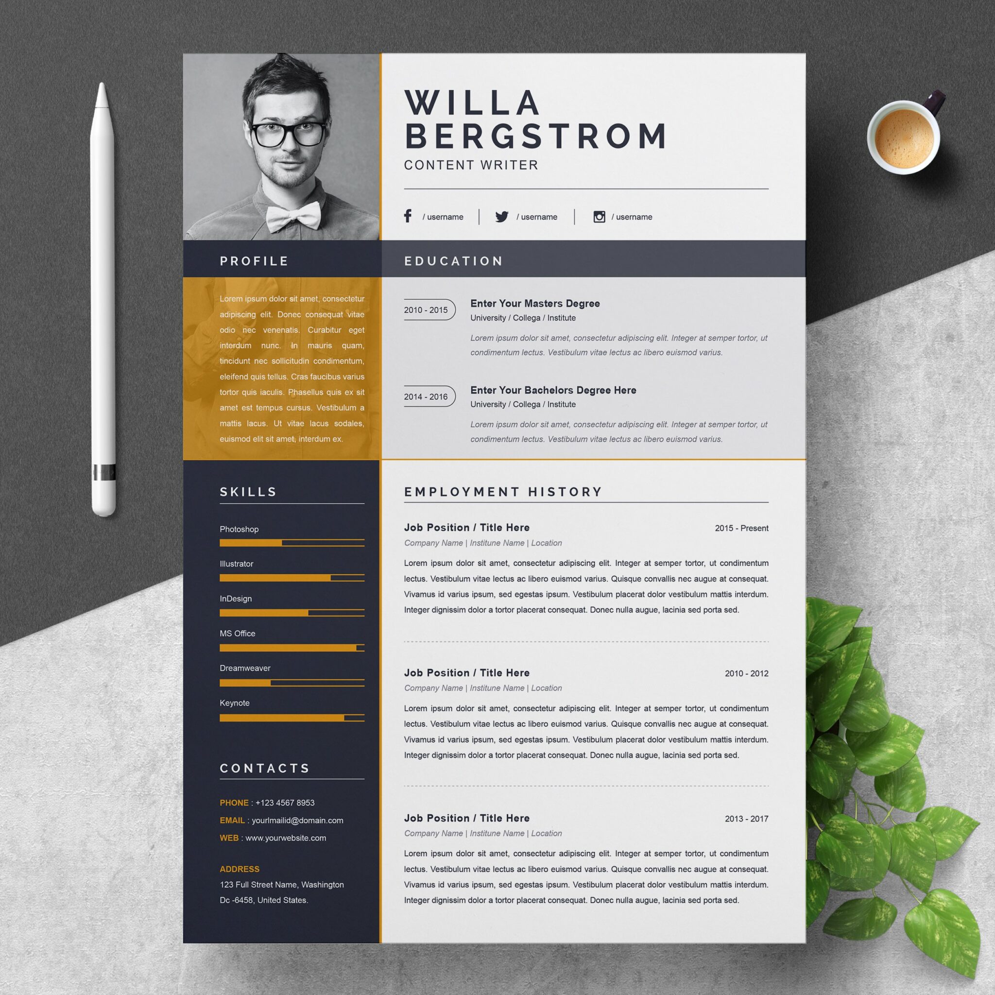 Professional Word Resume CV Template – MasterBundles