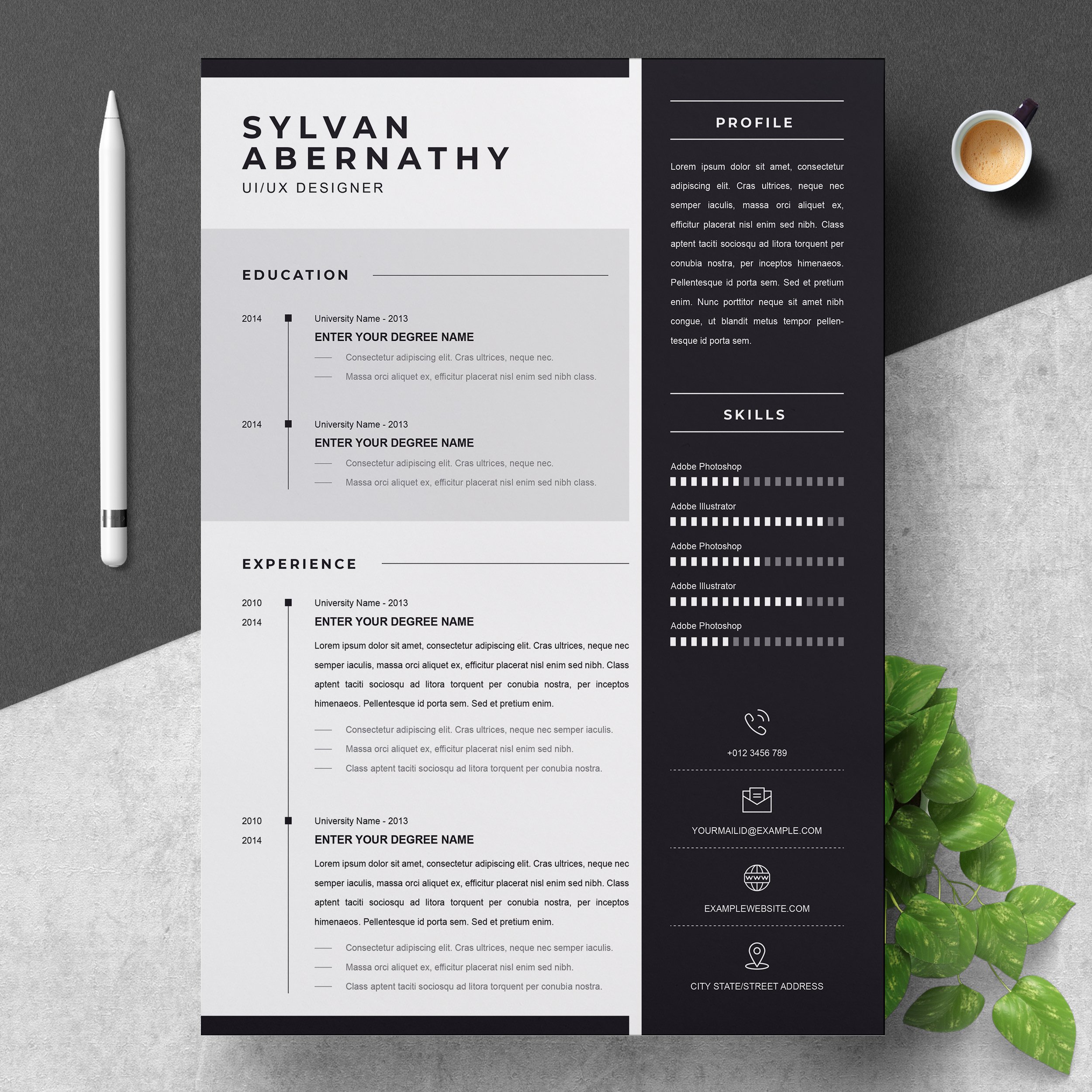 Professional Resume / CV Template cover image.