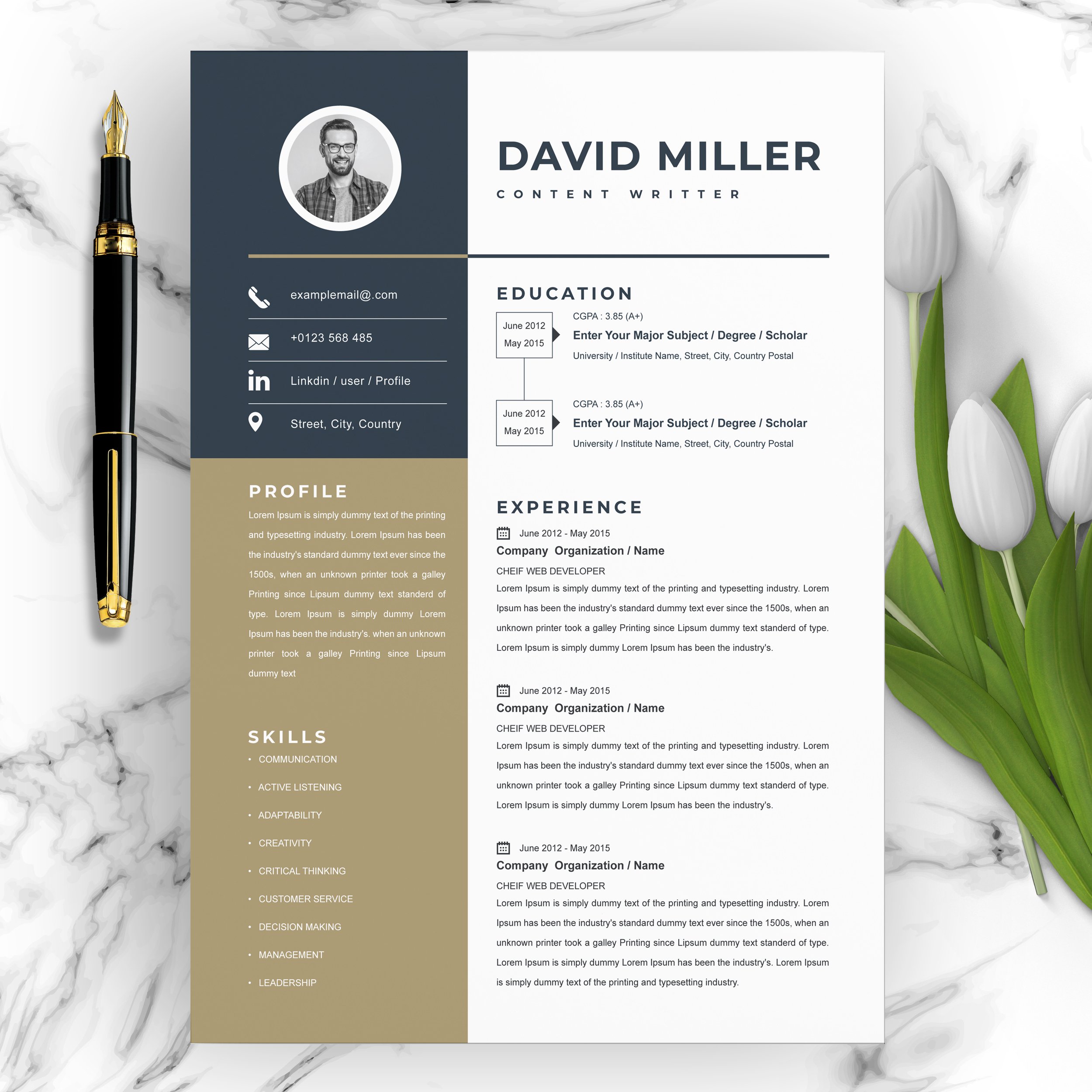 Content Writer Resume / CV Format cover image.