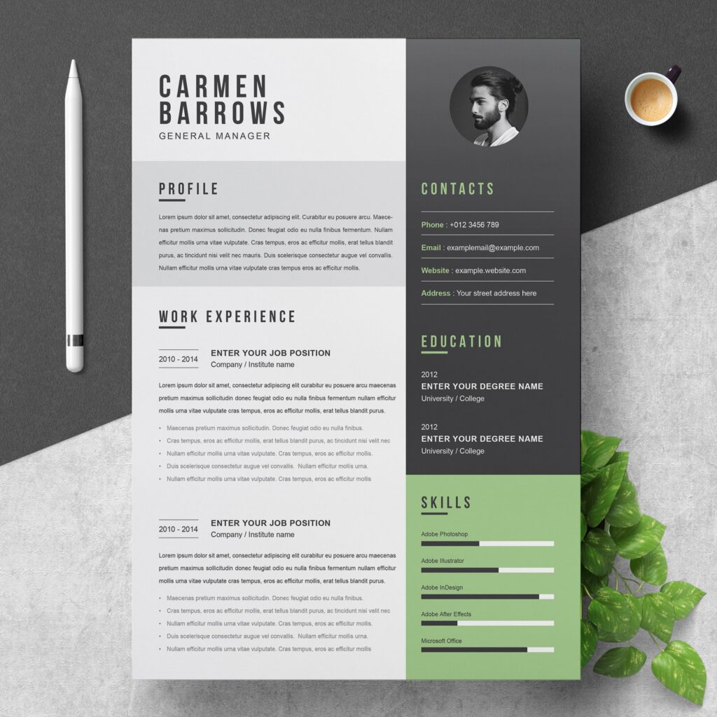 Professional Resume / CV Template – MasterBundles