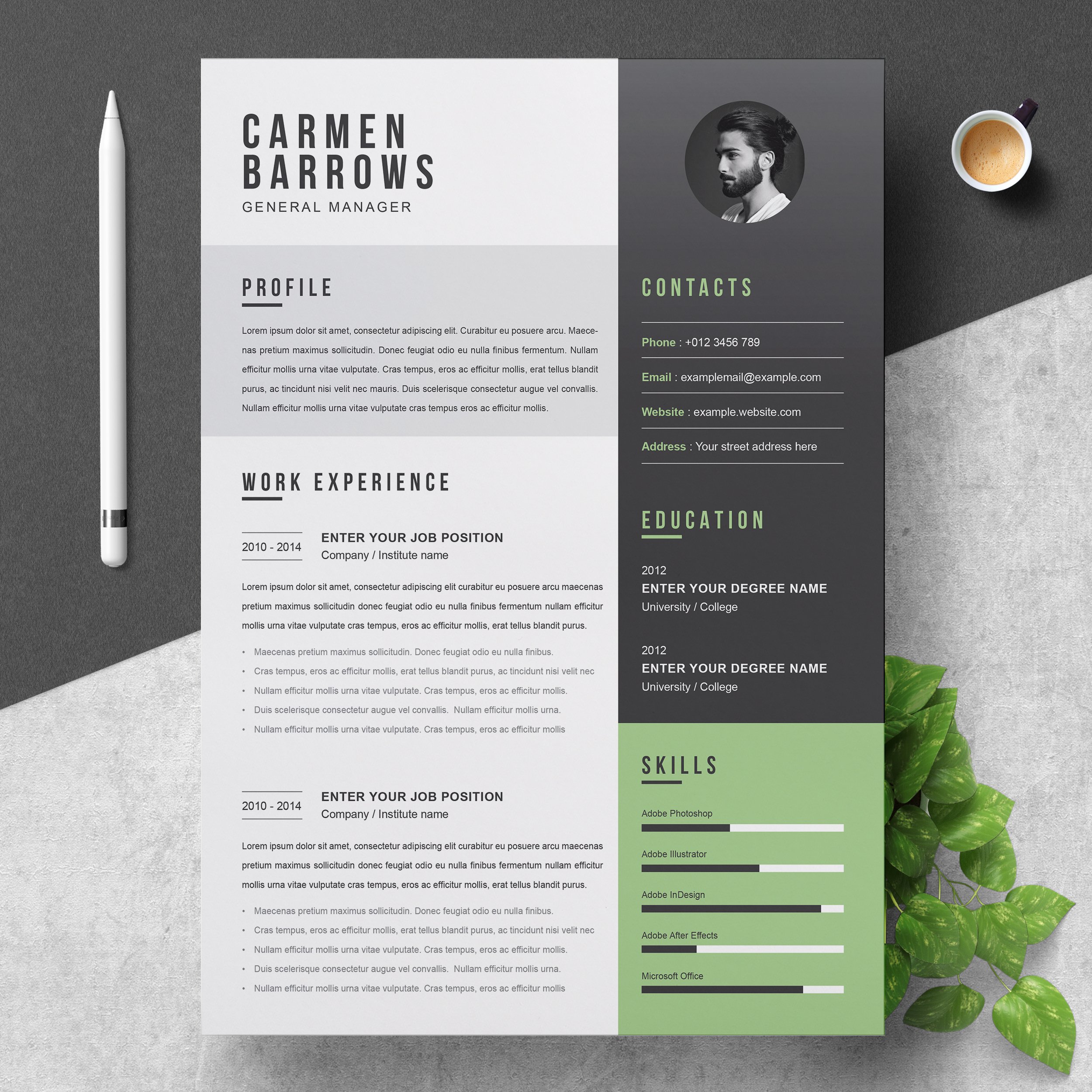 Professional Resume / CV Template cover image.