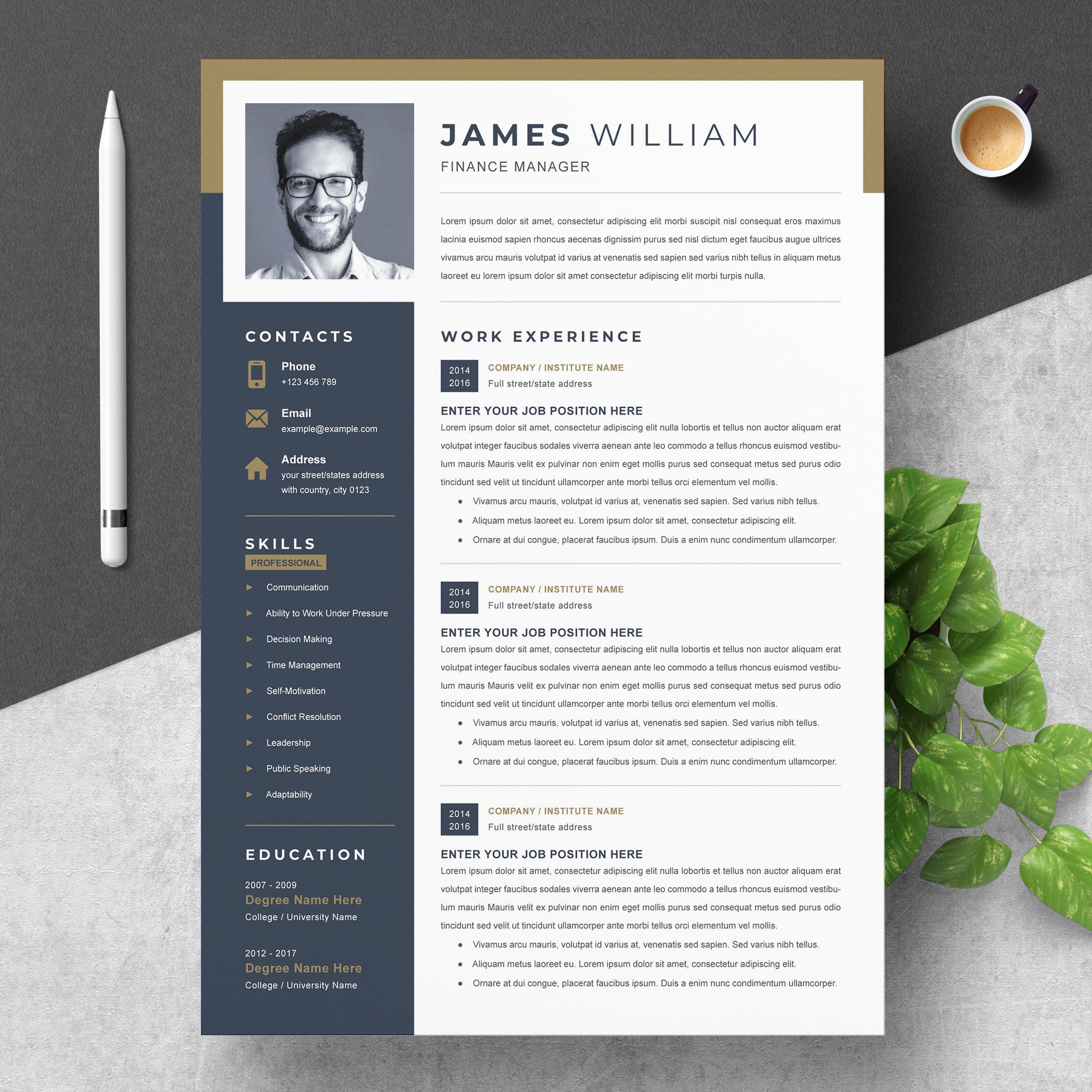 Professional Resume Template for Word DIY Printable Modern and