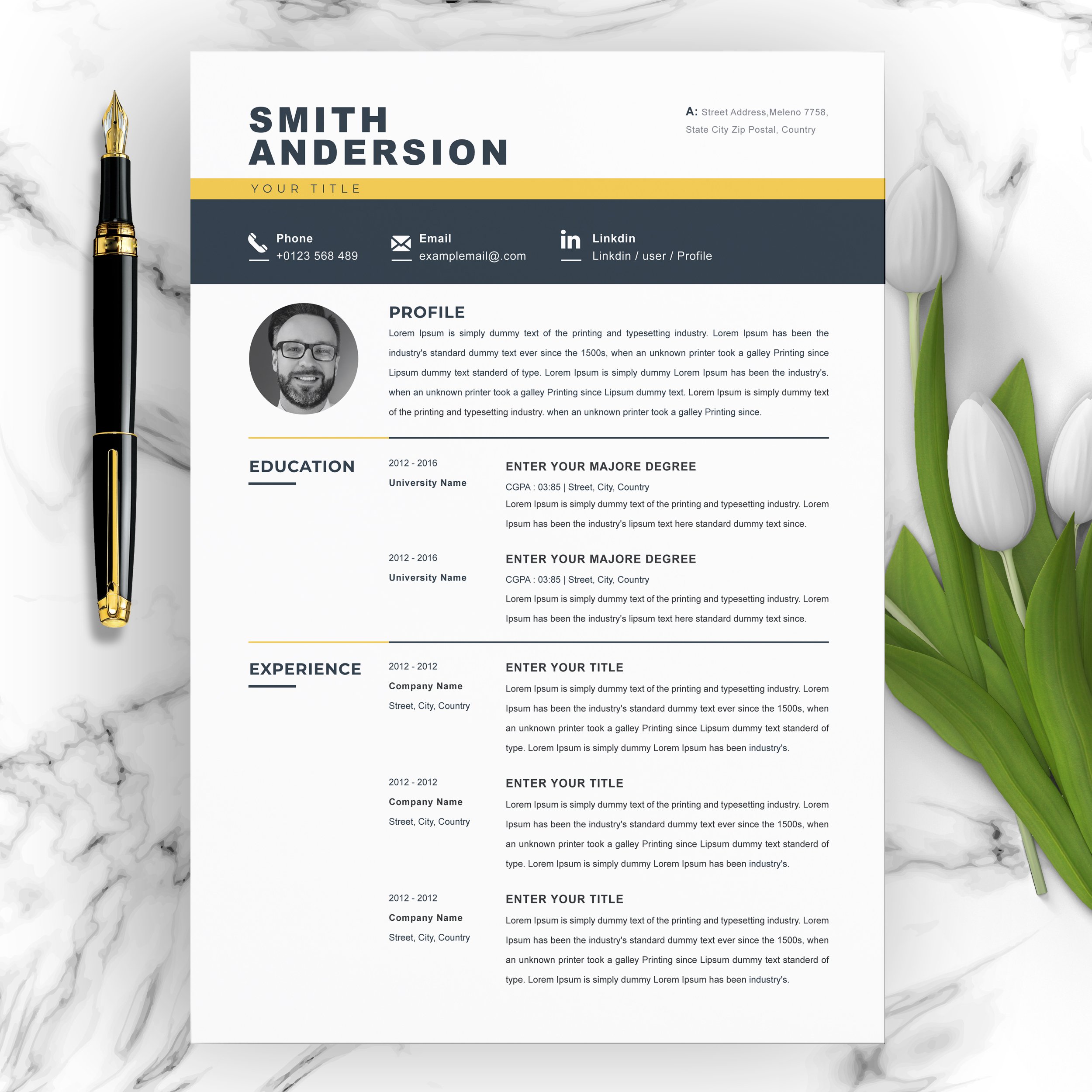 CV Template Download Resume Template cover image.