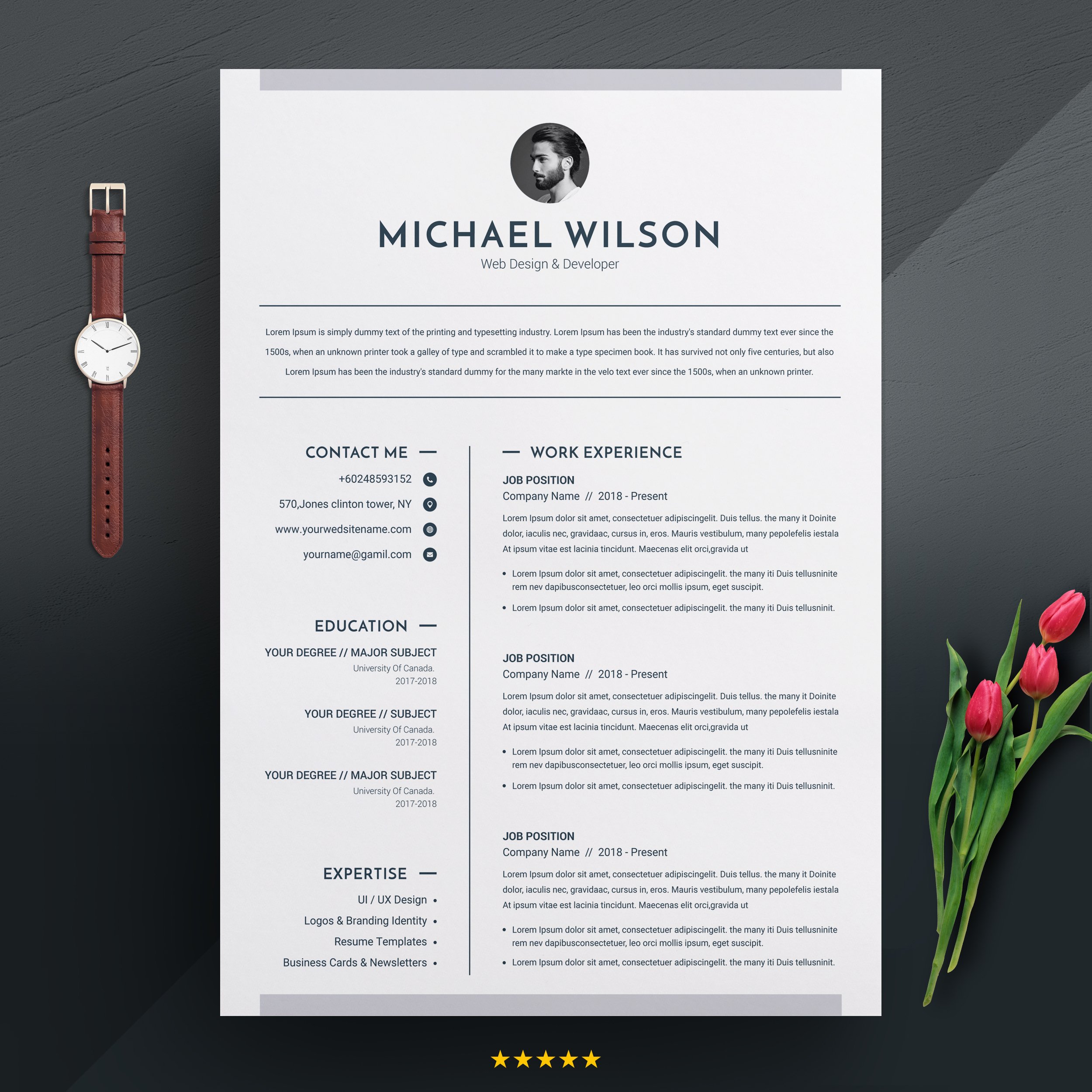 3 Pages Clean CV Template | MS Word cover image.