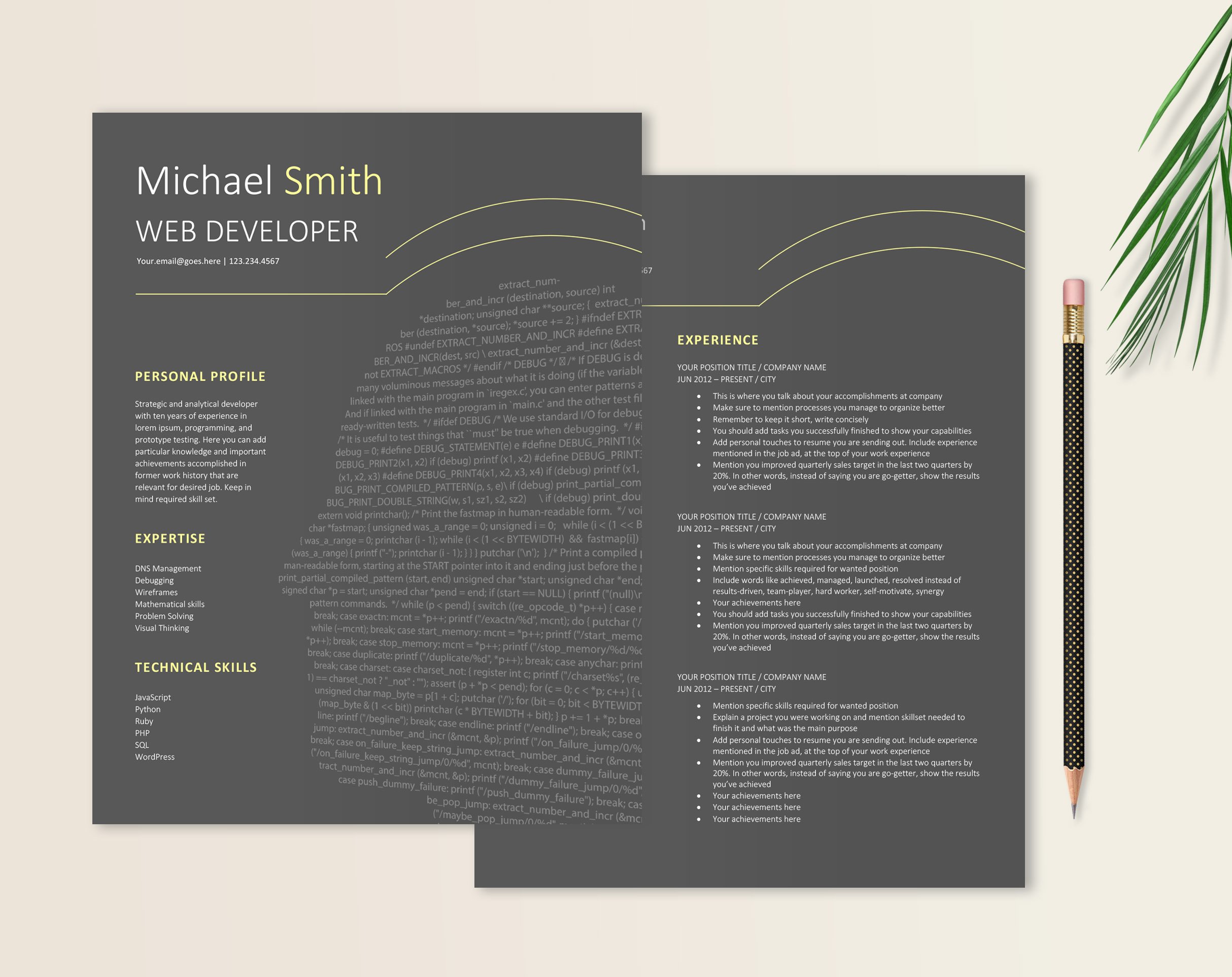 Developer Resume Template Word preview image.