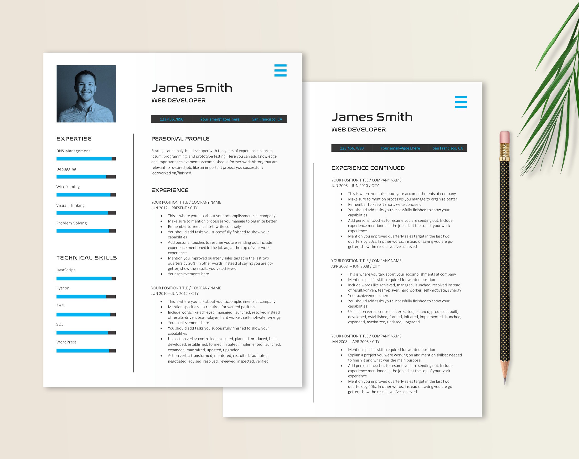 Developer | Engineer Resume Template preview image.