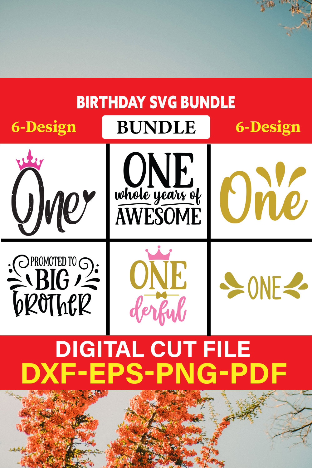 Birthday T-shirt Design Bundle Vol-13 pinterest preview image.