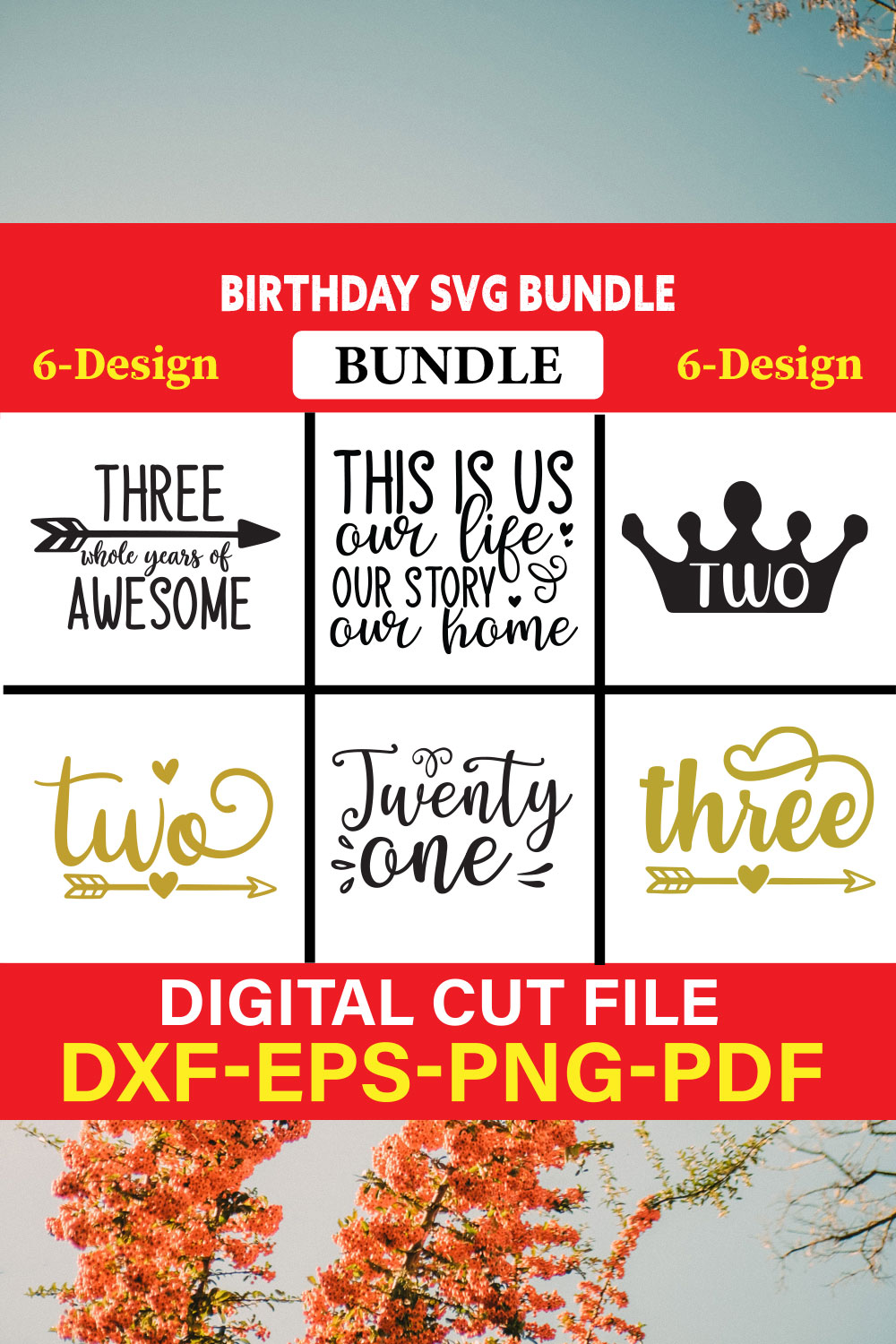 Birthday T-shirt Design Bundle Vol-15 pinterest preview image.