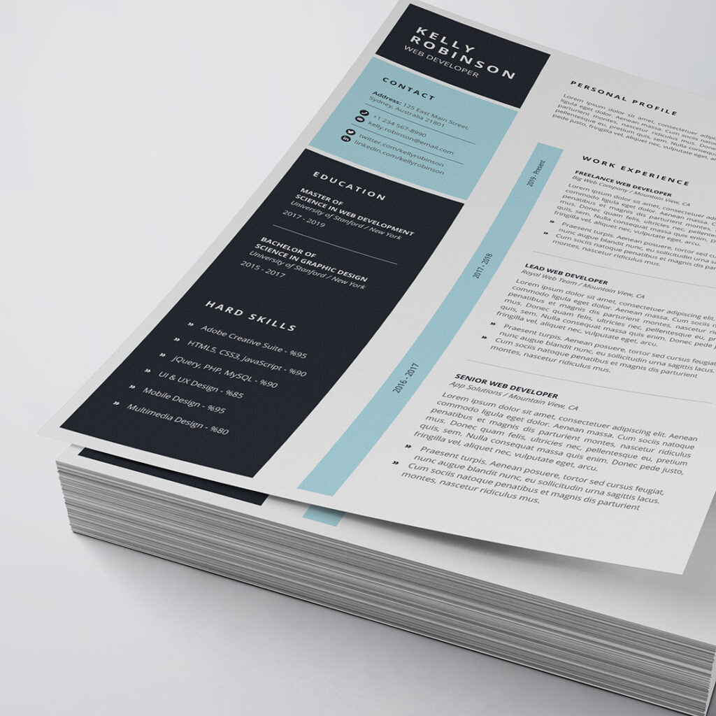 Professional Resume/CV Template - MasterBundles